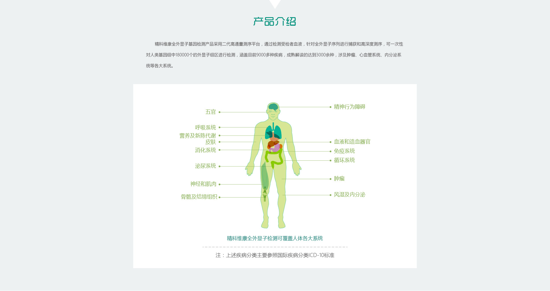 全外显子基因检测